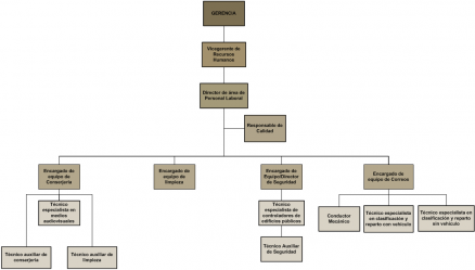 organigrama